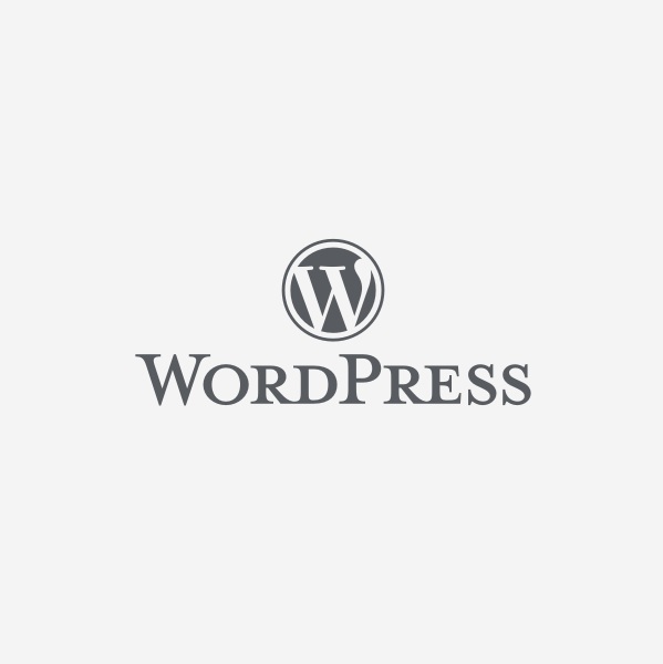 Rychlé a moderní řešení WordPress